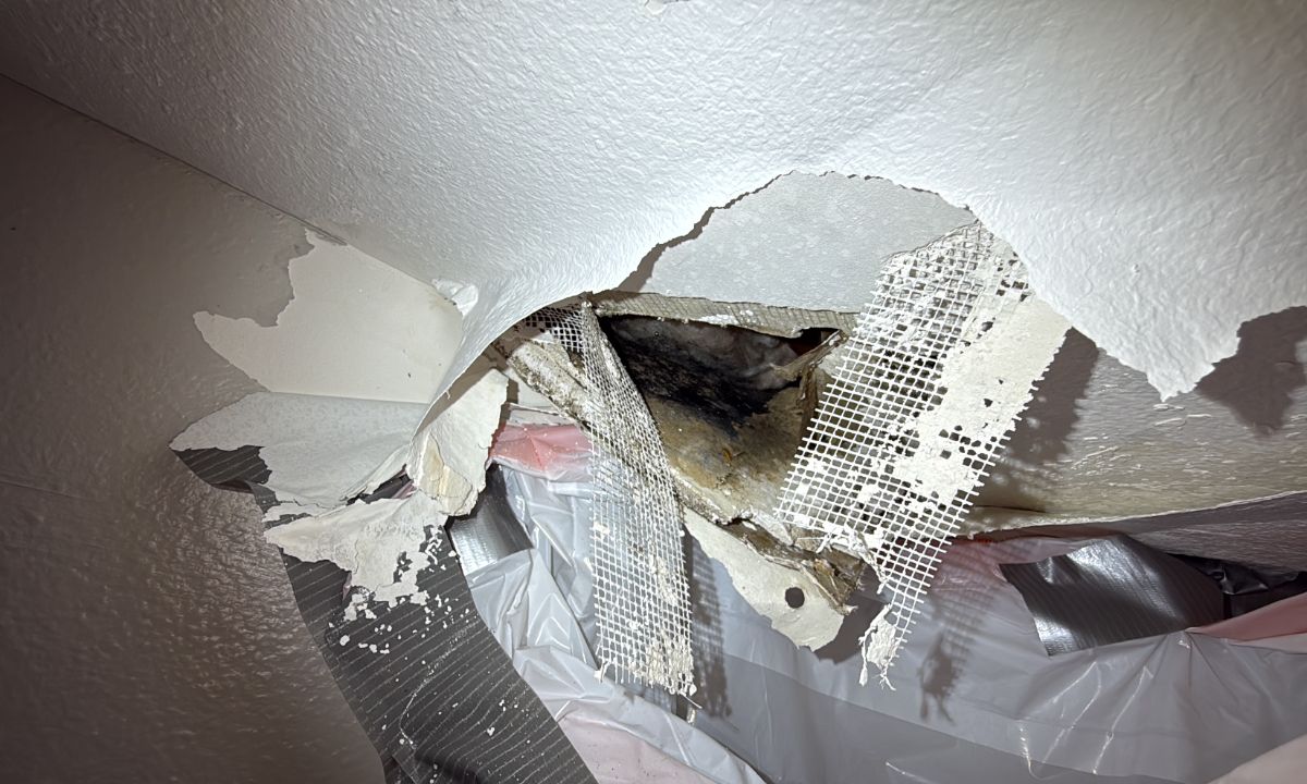 Inspection photo: Kitchen ceiling collapse, close-up