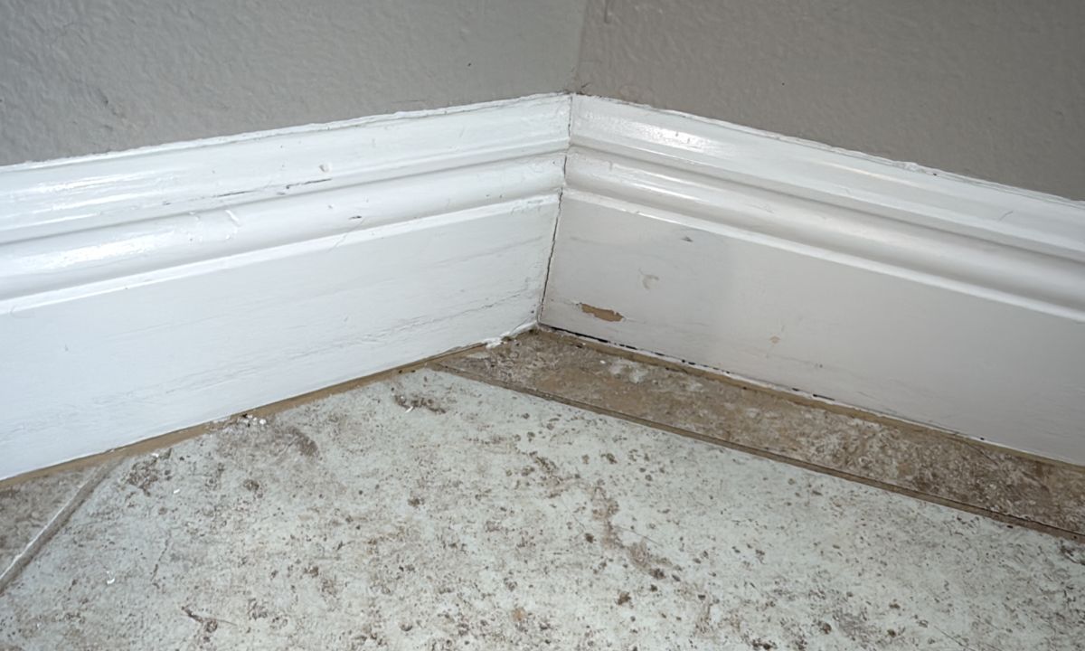 Inspection photo: Kitchen baseboard and flooring